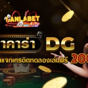 บาคาร่า DG ค่ายเกมบาคาร่าแจกเครดิตทดลองเล่นฟรี 2000